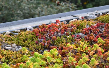 the cost of Llangaffo green roof installation