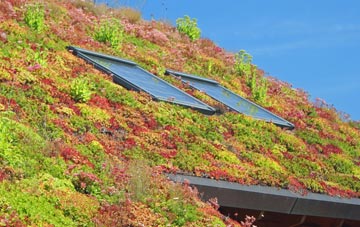 Llangaffo living roof systems